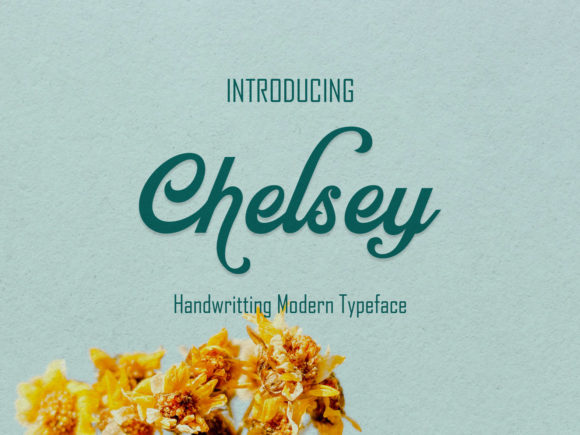 Chelsey: A Designer’s Honest Review for Branding