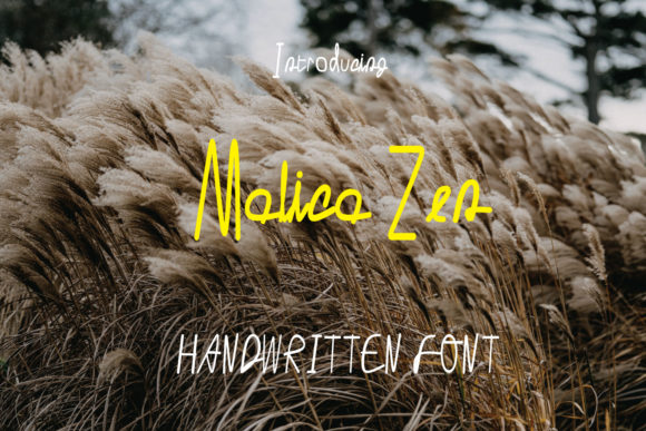 Malica Zen: A Handwritten Font for Warm Branding