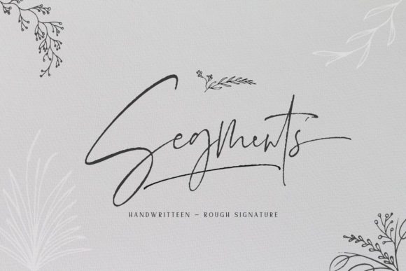 Segments: A Bold Script for Modern Brand Identity
